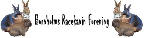 bornholms racekanin forenings billeder